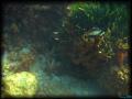DSC02492 -retouche